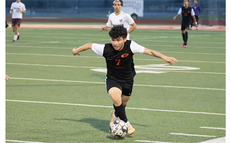 Lion Soccer